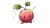Saucy Apple Pokemon Vinyl Car Decal Sticker – Waterproof & UV-Resistant 2.72"