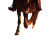 Running Horse Leg Vinyl Car Decal Sticker – Waterproof & UV-Resistant 3.4133333333333336"