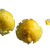 Lemon Drop Water Vinyl Car Decal Sticker – Waterproof & UV-Resistant 6.826666666666667"