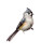 Spring Titmouse Illustration Vinyl Car Decal Sticker – Waterproof & UV-Resistant 3.4133333333333336"