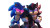Sonic And Shadow V3 Vinyl Car Decal Sticker – Waterproof & UV-Resistant 2.72"