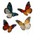 Realistic Flying Butterflies Vinyl Car Decal Sticker – Waterproof & UV-Resistant 3.4133333333333336"