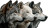 Wolf Moon Montage Vinyl Car Decal Sticker – Waterproof & UV-Resistant 5.4