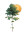 Nurturing Growth Vinyl Car Decal Sticker – Waterproof & UV-Resistant 5.12"