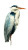 Grey Heron Painting Vinyl Car Decal Sticker – Waterproof & UV-Resistant 9.706666666666667"
