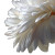 White Daisy Petal Vinyl Car Decal Sticker – Waterproof & UV-Resistant 3.4133333333333336"