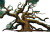 Angel Oak Tree Vinyl Car Decal Sticker – Waterproof & UV-Resistant 2.986666666666667"