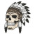 Tribal Evil Skull Vinyl Car Decal Sticker – Waterproof & UV-Resistant 6.826666666666667"