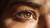 Brown Eye Close-Up V5 Vinyl Car Decal Sticker – Waterproof & UV-Resistant 2.72"