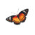 Garden Butterfly Vinyl Car Decal Sticker – Waterproof & UV-Resistant 3.4133333333333336"