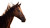 Majestic Arabian Horse V3 Vinyl Car Decal Sticker – Waterproof & UV-Resistant 5.4