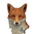 Fox V5 Vinyl Car Decal Sticker – Waterproof & UV-Resistant 3.4133333333333336"