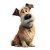 Elderly Disney Dog Vinyl Car Decal Sticker – Waterproof & UV-Resistant 3.4133333333333336"