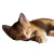 Sleeping Ginger Kitten V4 Vinyl Car Decal Sticker – Waterproof & UV-Resistant 3.4133333333333336"