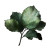 Green Leaf V7 Vinyl Car Decal Sticker – Waterproof & UV-Resistant 3.4133333333333336"