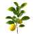Lemon Plant Vinyl Car Decal Sticker – Waterproof & UV-Resistant 6.826666666666667"