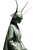 Alien Insect Runway Vinyl Car Decal Sticker – Waterproof & UV-Resistant 4.4