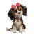Tricolor Cavalier Puppy Vinyl Car Decal Sticker – Waterproof & UV-Resistant 6.826666666666667"
