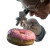 Scientist Examines Donut Vinyl Car Decal Sticker – Waterproof & UV-Resistant 3.4133333333333336"
