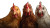 Cute Chickens Vinyl Car Decal Sticker – Waterproof & UV-Resistant 5.4