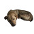 Abandoned Birthday Dog V2 Vinyl Car Decal Sticker – Waterproof & UV-Resistant 3.4133333333333336"