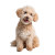 Smiling Poodle Vinyl Car Decal Sticker – Waterproof & UV-Resistant 3.4133333333333336"
