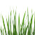 Green Grass Blades Vinyl Car Decal Sticker – Waterproof & UV-Resistant 6.826666666666667"