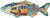 Lisbon Fish Sticker Vinyl Car Decal Sticker – Waterproof & UV-Resistant 4.373333333333333"