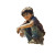 Young Boy Sitting Vinyl Car Decal Sticker – Waterproof & UV-Resistant 6.826666666666667"