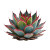 Red Tipped Agave Vinyl Car Decal Sticker – Waterproof & UV-Resistant 3.4133333333333336"
