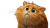 Nervous Chubby Cat Vinyl Car Decal Sticker – Waterproof & UV-Resistant 2.72"
