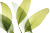 Eucalyptus Leaves Vinyl Car Decal Sticker – Waterproof & UV-Resistant 5.97333333333333