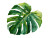 Monstera Leaf Painting Vinyl Car Decal Sticker – Waterproof & UV-Resistant 6.1866666666666665"