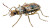 Cyberpunk Insect Vinyl Car Decal Sticker – Waterproof & UV-Resistant 2.72"