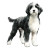 Abstract Berndoodle Vinyl Car Decal Sticker – Waterproof & UV-Resistant 3.4133333333333336"
