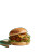 Burger Plate Vinyl Car Decal Sticker – Waterproof & UV-Resistant 6.826666666666667"
