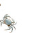 Beach Crab Scene Vinyl Car Decal Sticker – Waterproof & UV-Resistant 6.826666666666667"