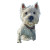 Surfing Westie Vinyl Car Decal Sticker – Waterproof & UV-Resistant 6.826666666666667"