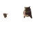 Flying Cats Clouds Vinyl Car Decal Sticker – Waterproof & UV-Resistant 6.826666666666667"