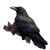 Neo Traditional Raven Vinyl Car Decal Sticker – Waterproof & UV-Resistant 3.4133333333333336"