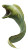 Moray Eel Vinyl Car Decal Sticker – Waterproof & UV-Resistant 4.8533333333333335"