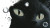 Ghibli-Style Cat V2 Vinyl Car Decal Sticker – Waterproof & UV-Resistant 2.72"