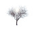 Bare Shade Tree Vinyl Car Decal Sticker – Waterproof & UV-Resistant 3.4133333333333336"
