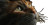 Cat V282 Vinyl Car Decal Sticker – Waterproof & UV-Resistant 5.12"