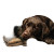 Labrador With Santa Vinyl Car Decal Sticker – Waterproof & UV-Resistant 3.4133333333333336"