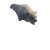 Grizzly Bear Attack V3 Vinyl Car Decal Sticker – Waterproof & UV-Resistant 3.4133333333333336"