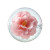 Floating Camelia Bubble Vinyl Car Decal Sticker – Waterproof & UV-Resistant 6.826666666666667"