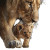 Lion Family Scene Vinyl Car Decal Sticker – Waterproof & UV-Resistant 3.4133333333333336"