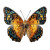Vibrant Butterfly V5 Vinyl Car Decal Sticker – Waterproof & UV-Resistant 3.4133333333333336"