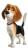Beagle Dog Protagonist Vinyl Car Decal Sticker – Waterproof & UV-Resistant 9.706666666666667"